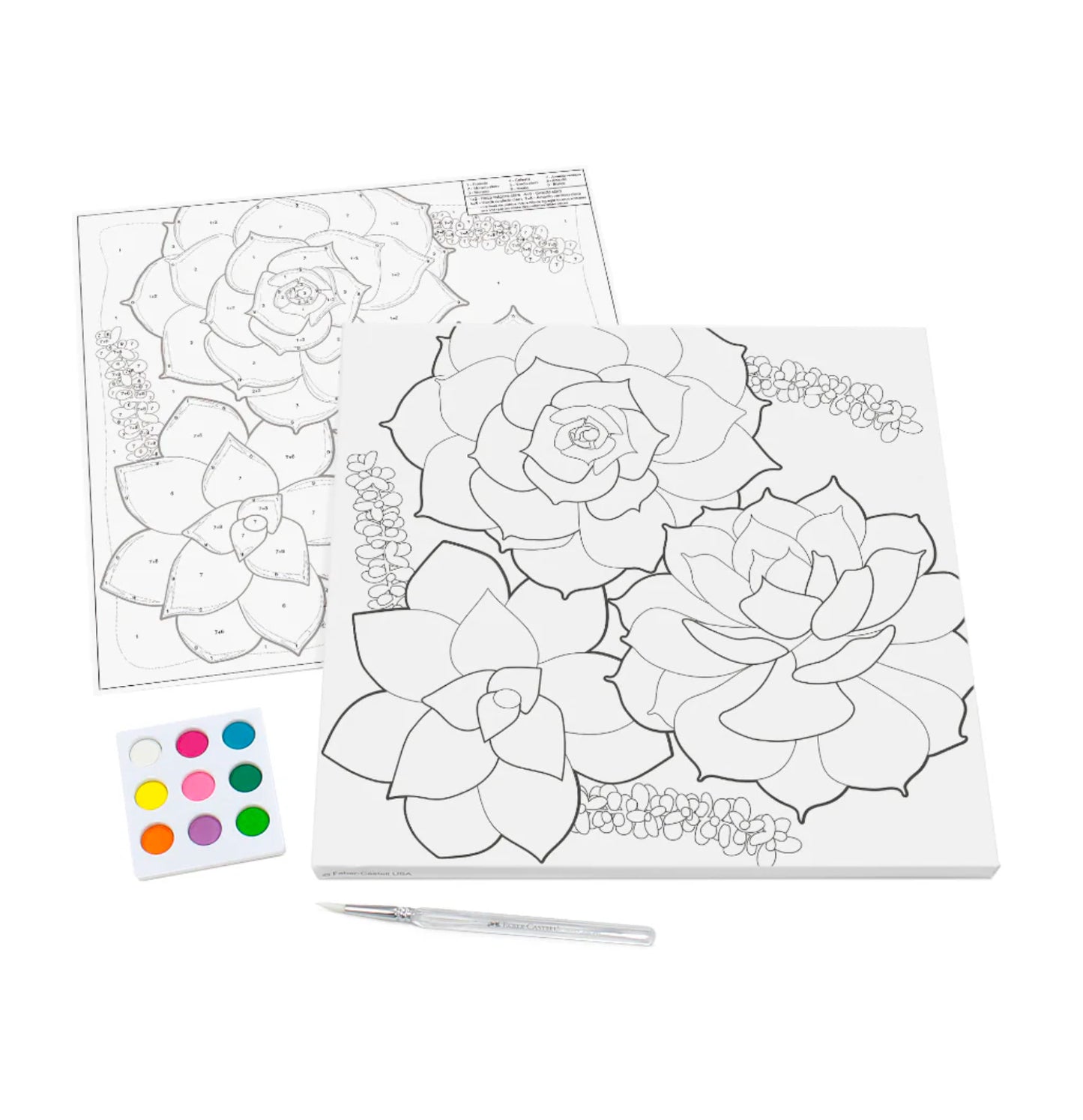 Set pinta por número suculentas Faber Castell