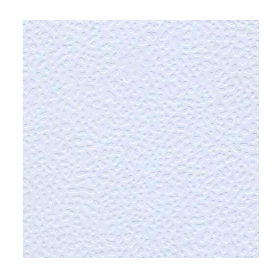 Cascarón 71x56cm (1/4)