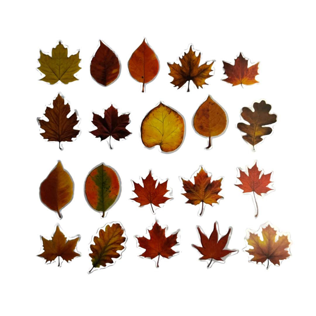 Stickers de hojas de otoño
