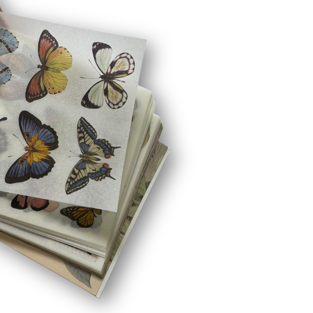 Revista de Stickers butterfly