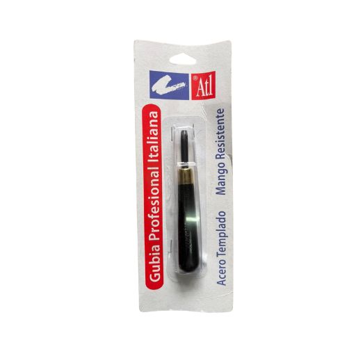 Gubia profesional italiana Atl