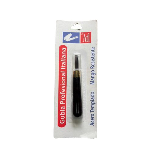 Gubia profesional italiana Atl