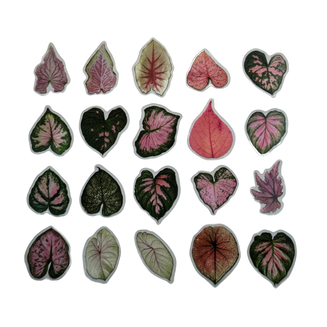 Stickers de hojas rosas