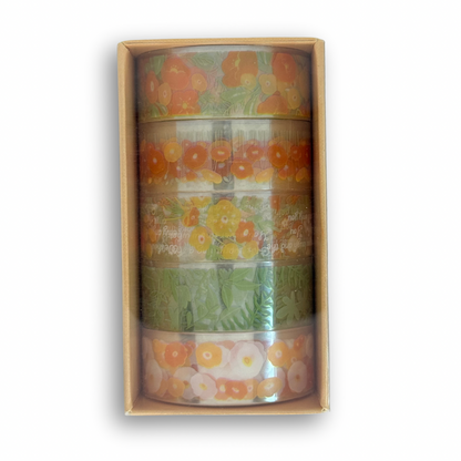 Washi tape transparente c/5