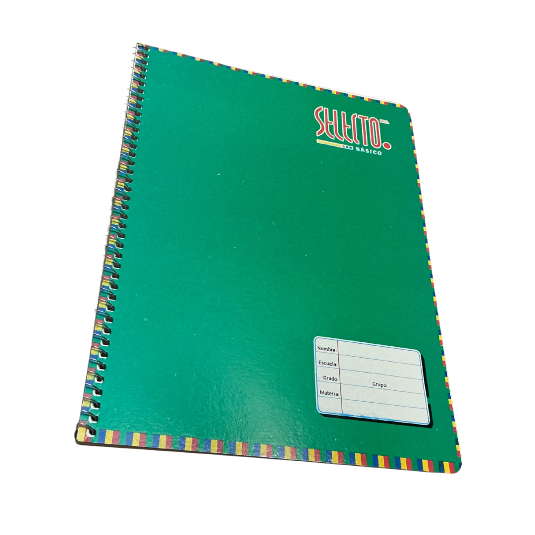Cuaderno profesional básico rayas