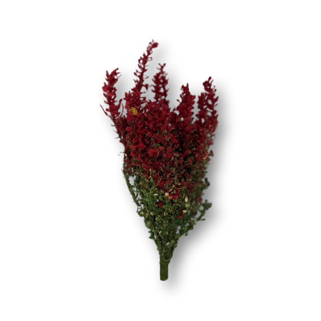 Bugambilia miniatura