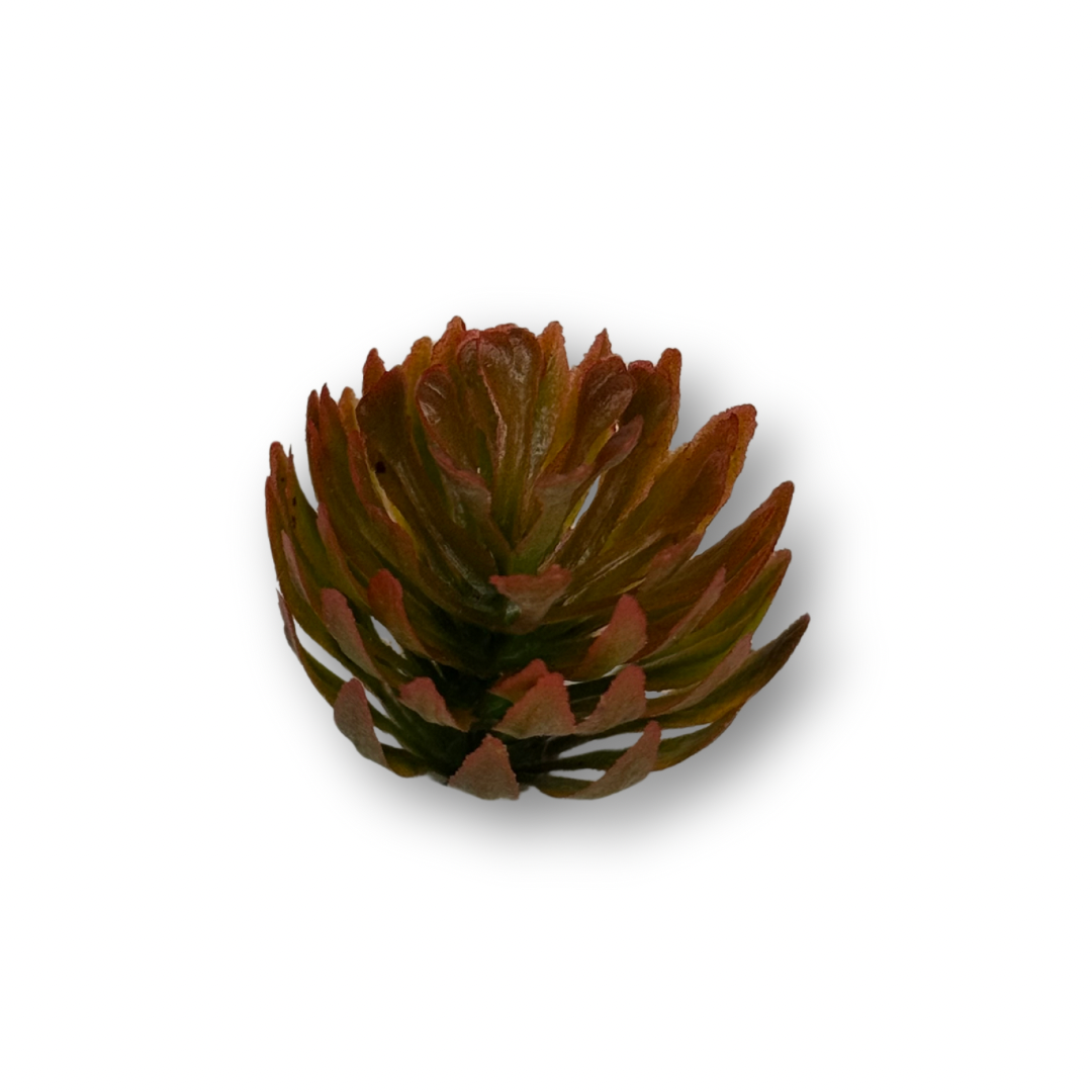 Plantas variadas para maquetas
