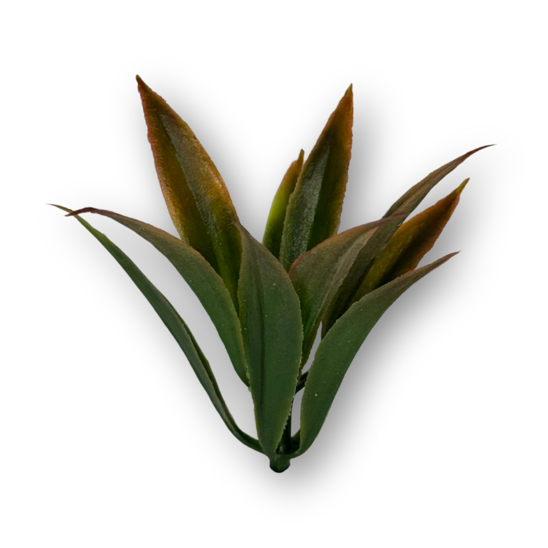 Plantas variadas para maquetas