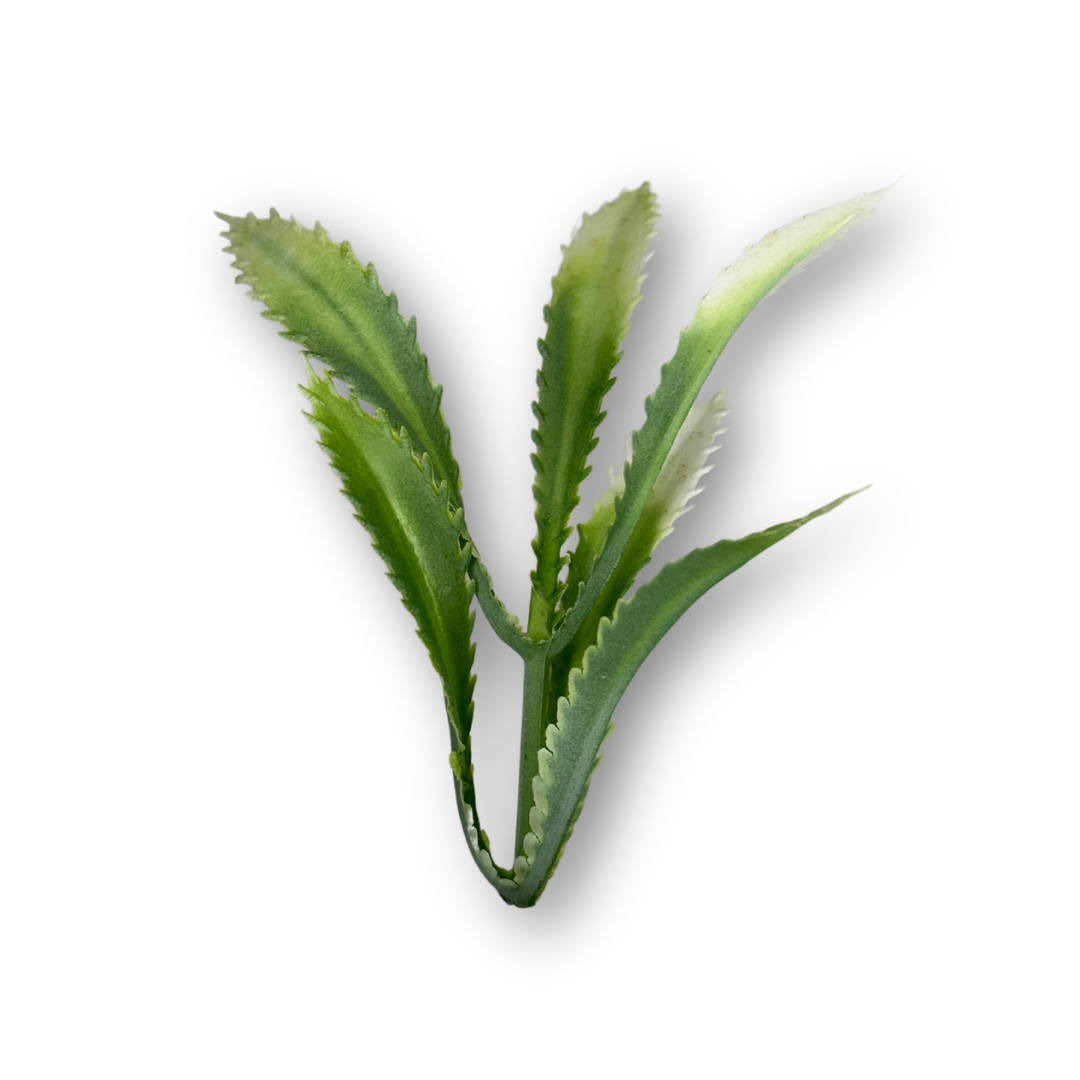 Plantas variadas para maquetas