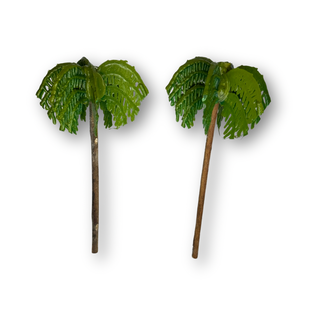 Palmera miniatura