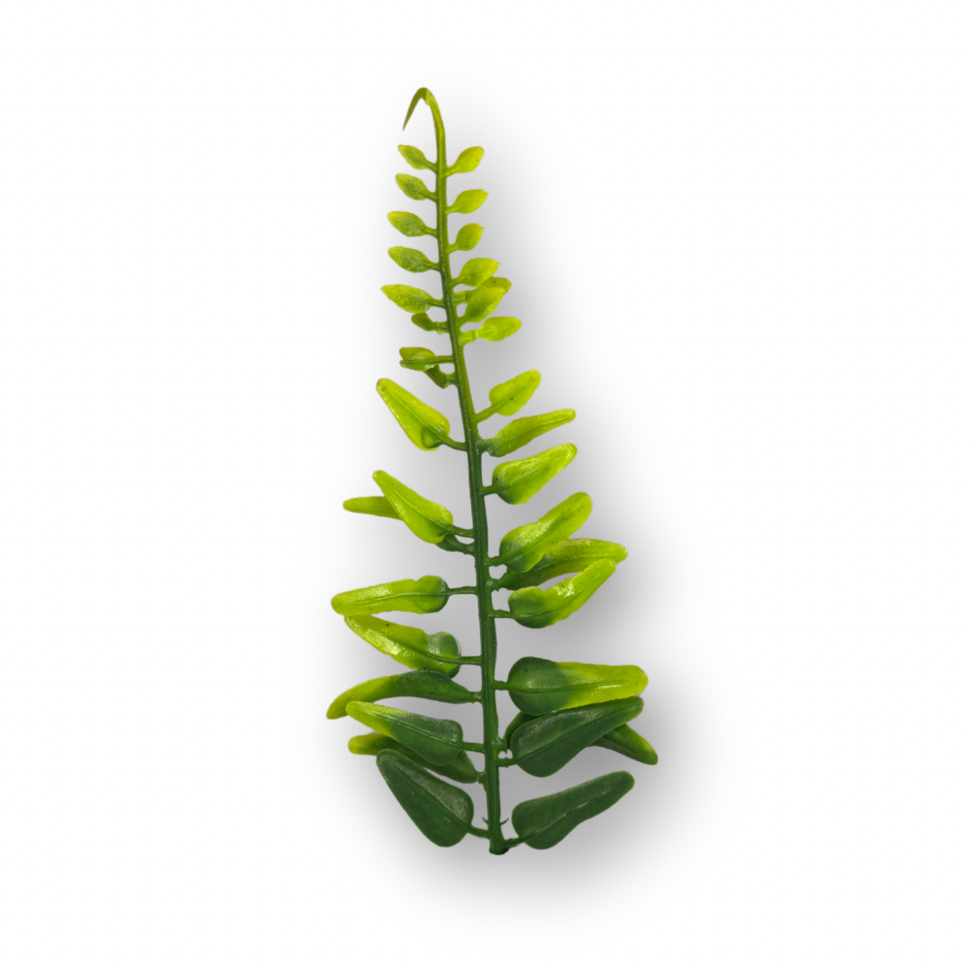 Plantas variadas para maquetas