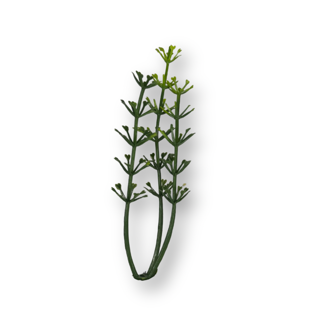 Plantas variadas para maquetas
