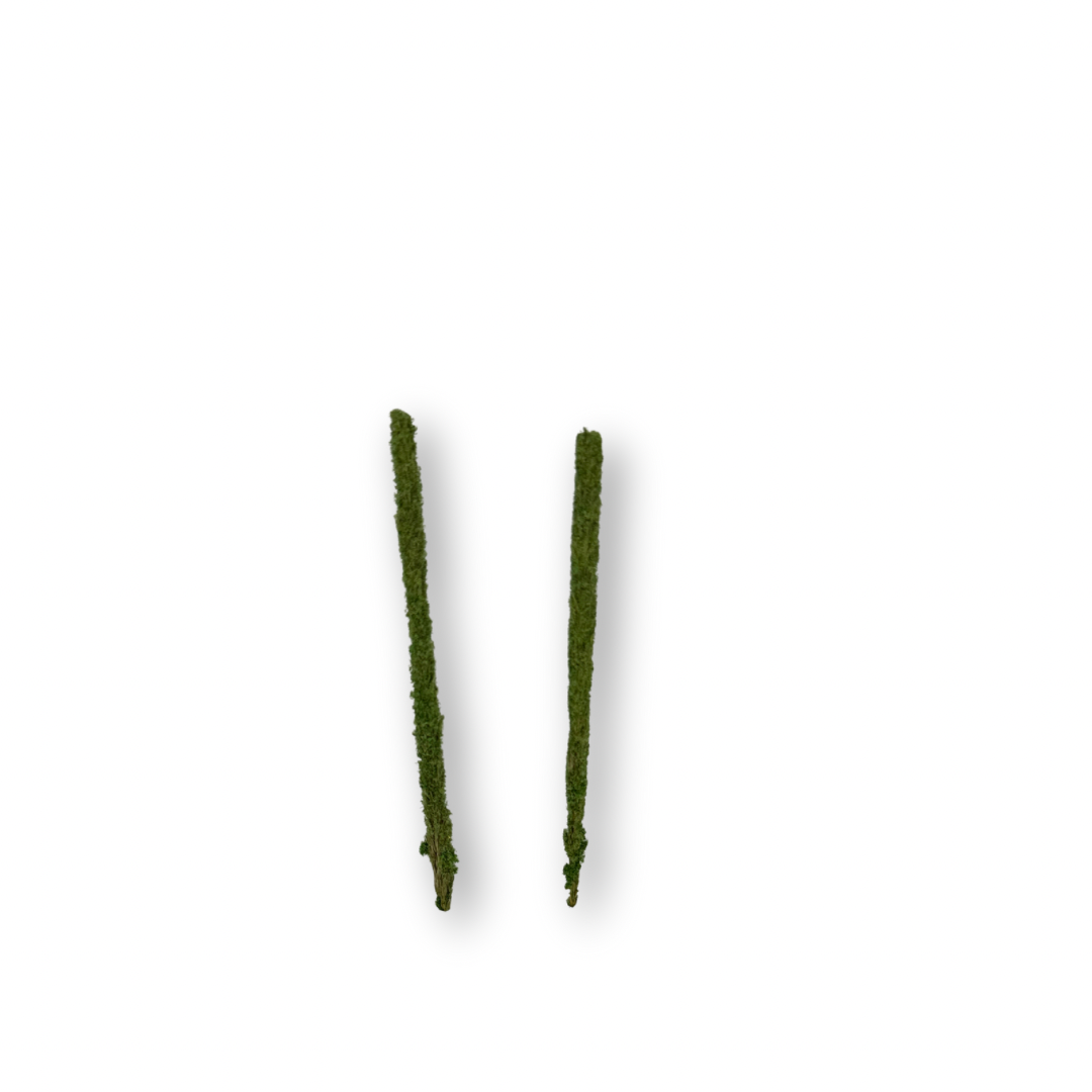 Ahuejote miniatura – Escala Gráfica