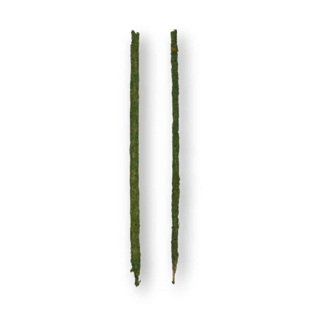 Ahuejote miniatura