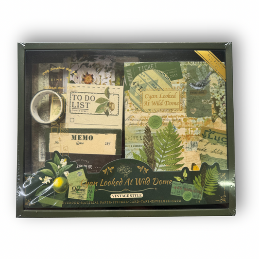 Set scrapbook hojas