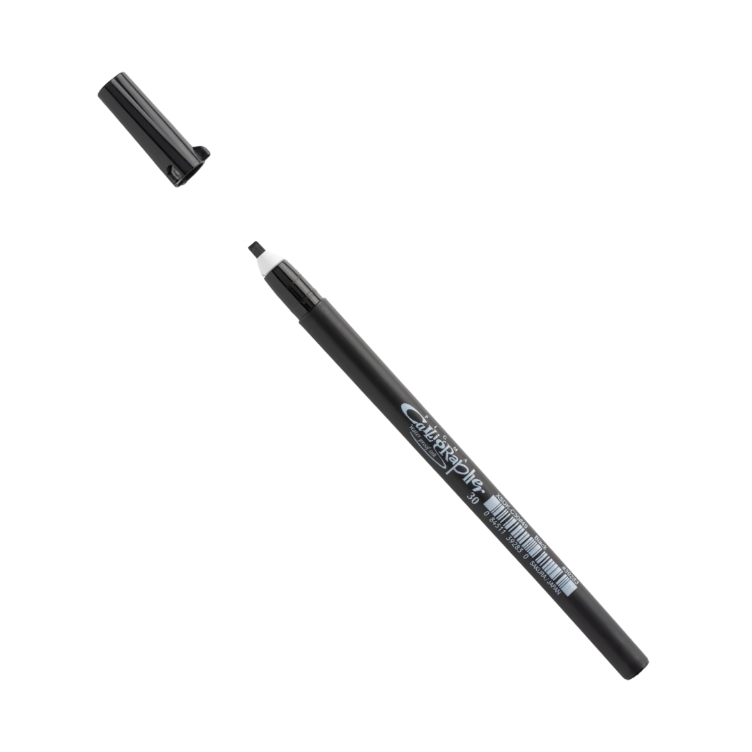 Pigma Calligrapher water proof ing