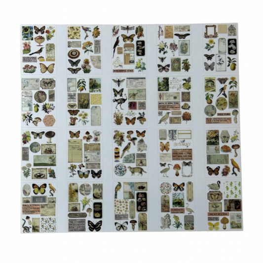 Plantilla de Stickers de flora y fauna