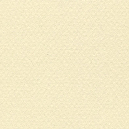 Papel Canson Mi-Teintes 160gr 50x65cm
