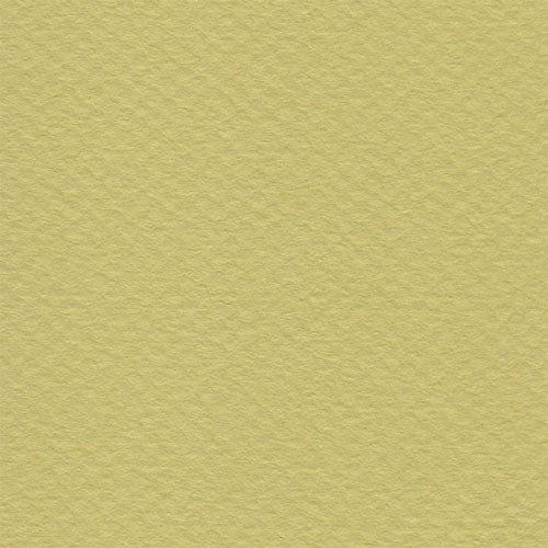 Papel Canson Mi-Teintes 160gr 50x65cm