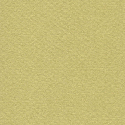 Papel Canson Mi-Teintes 160gr 50x65cm
