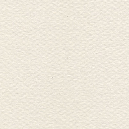 Papel Canson Mi-Teintes 160gr 50x65cm