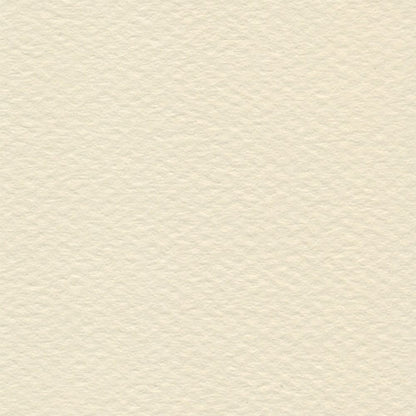 Papel Canson Mi-Teintes 160gr 50x65cm