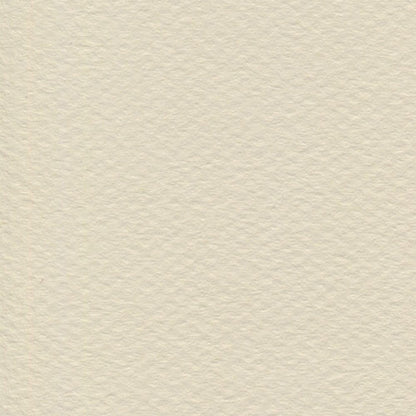 Papel Canson Mi-Teintes 160gr 50x65cm
