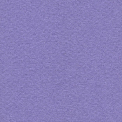 Papel Canson Mi-Teintes 160gr 50x65cm