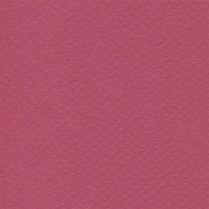Papel Canson Mi-Teintes 160gr 50x65cm