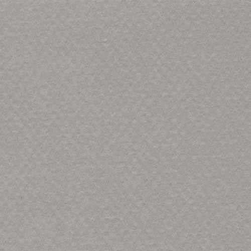 Papel Canson Mi-Teintes 160gr 50x65cm