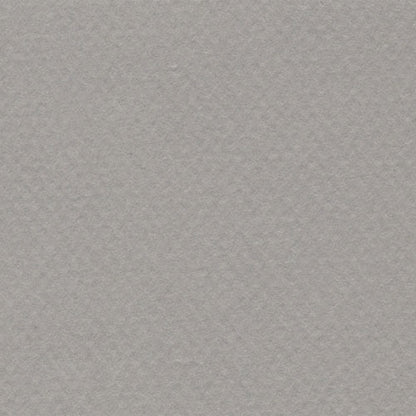 Papel Canson Mi-Teintes 160gr 50x65cm