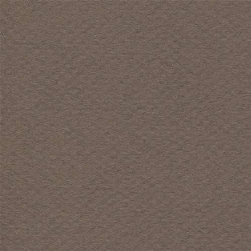 Papel Canson Mi-Teintes 160gr 50x65cm
