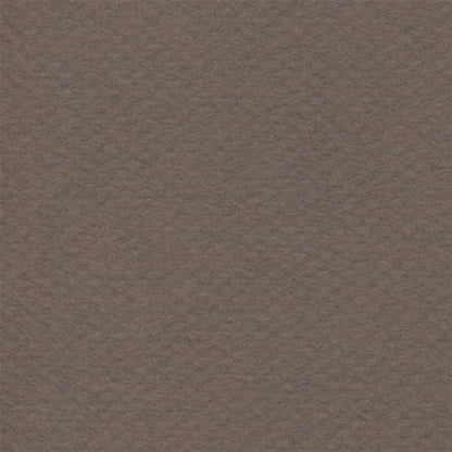 Papel Canson Mi-Teintes 160gr 50x65cm
