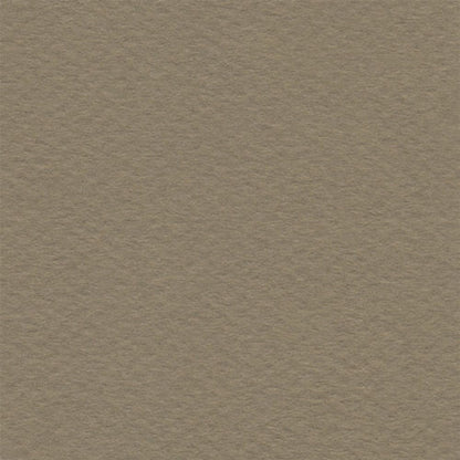 Papel Canson Mi-Teintes 160gr 50x65cm