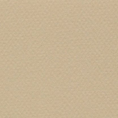 Papel Canson Mi-Teintes 160gr 50x65cm