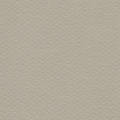Papel Canson Mi-Teintes 160gr 50x65cm