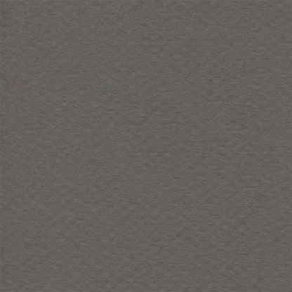 Papel Canson Mi-Teintes 160gr 50x65cm