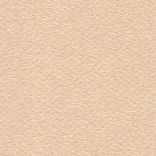 Papel Canson Mi-Teintes 160gr 50x65cm