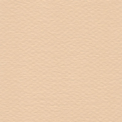 Papel Canson Mi-Teintes 160gr 50x65cm