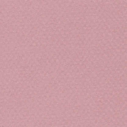 Papel Canson Mi-Teintes 160gr 50x65cm