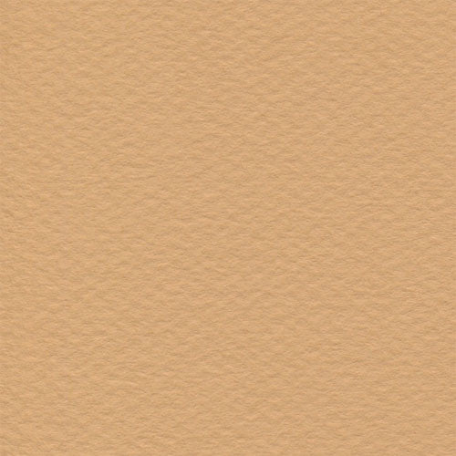 Papel Canson Mi-Teintes 160gr 50x65cm