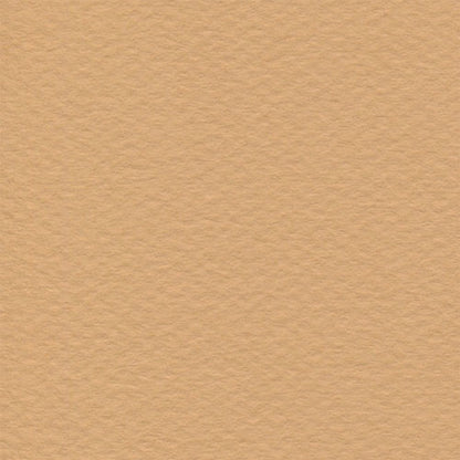 Papel Canson Mi-Teintes 160gr 50x65cm