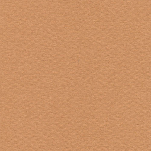 Papel Canson Mi-Teintes 160gr 50x65cm