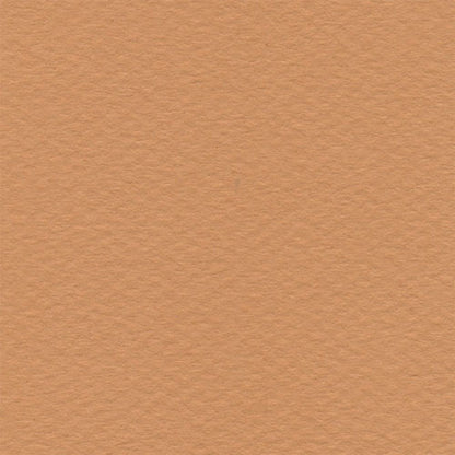 Papel Canson Mi-Teintes 160gr 50x65cm