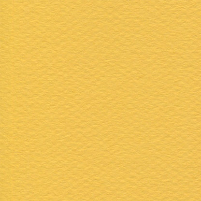 Papel Canson Mi-Teintes 160gr 50x65cm