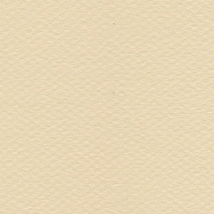 Papel Canson Mi-Teintes 160gr 50x65cm