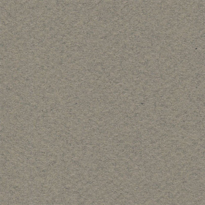 Papel Canson Mi-Teintes 160gr 50x65cm