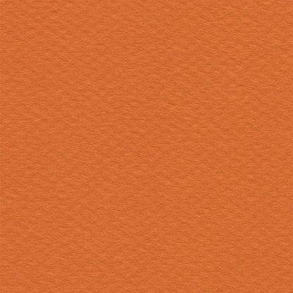 Papel Canson Mi-Teintes 160gr 50x65cm