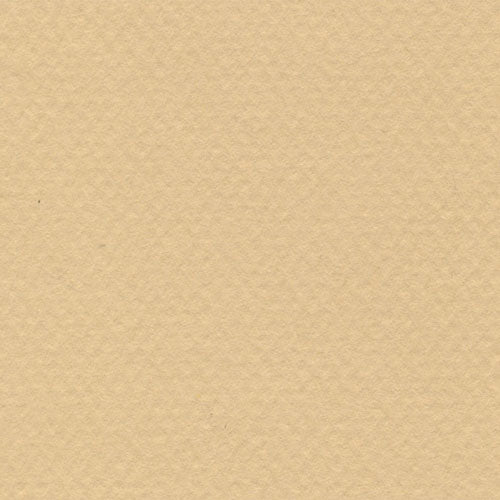 Papel Canson Mi-Teintes 160gr 50x65cm