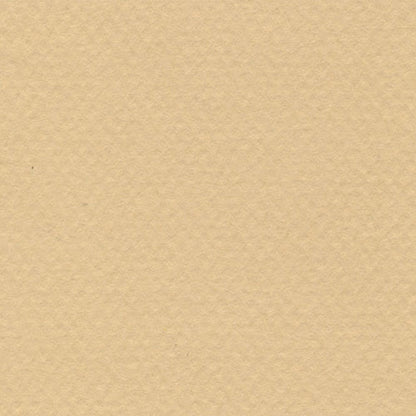 Papel Canson Mi-Teintes 160gr 50x65cm